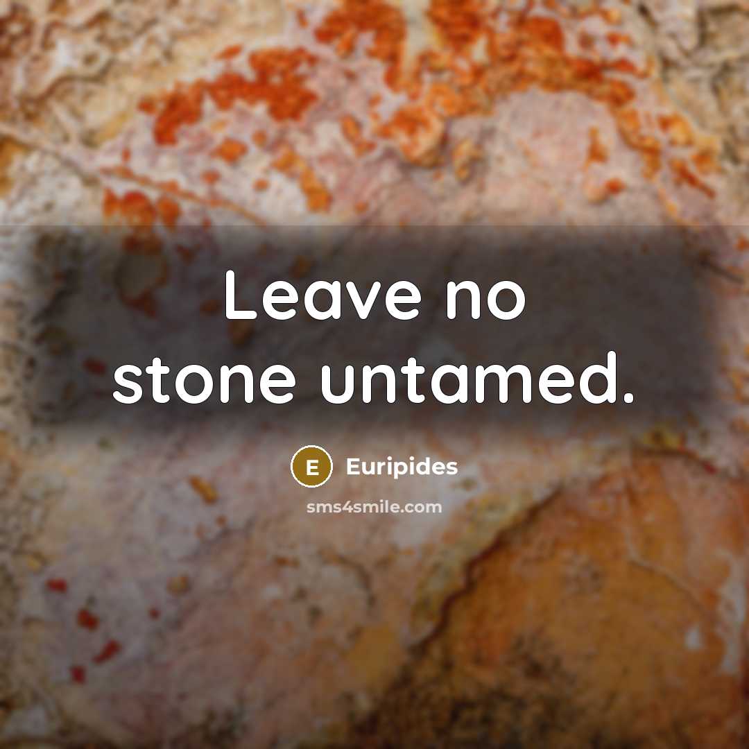 “Leave no stone untamed.…” quote by Euripides