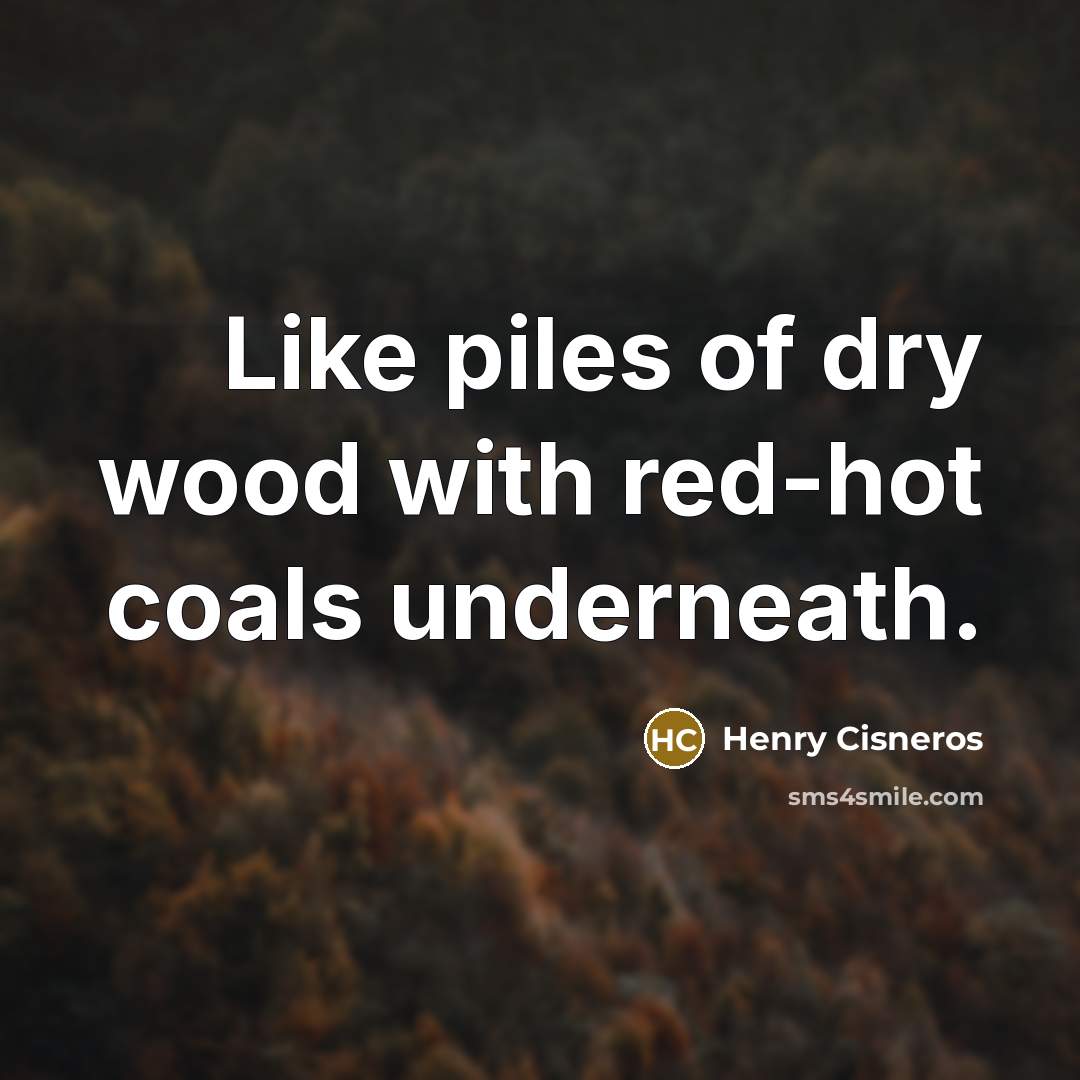 “Like piles of dry wood with red-hot coals underneath.…” quote by Henry Cisneros