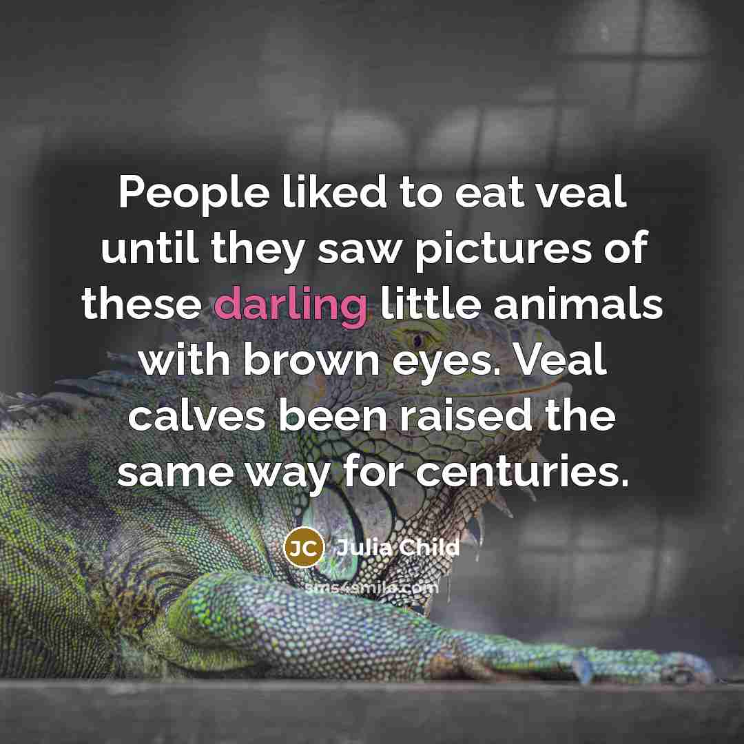“People liked to eat veal until they saw pictures of…” quote by Julia Child