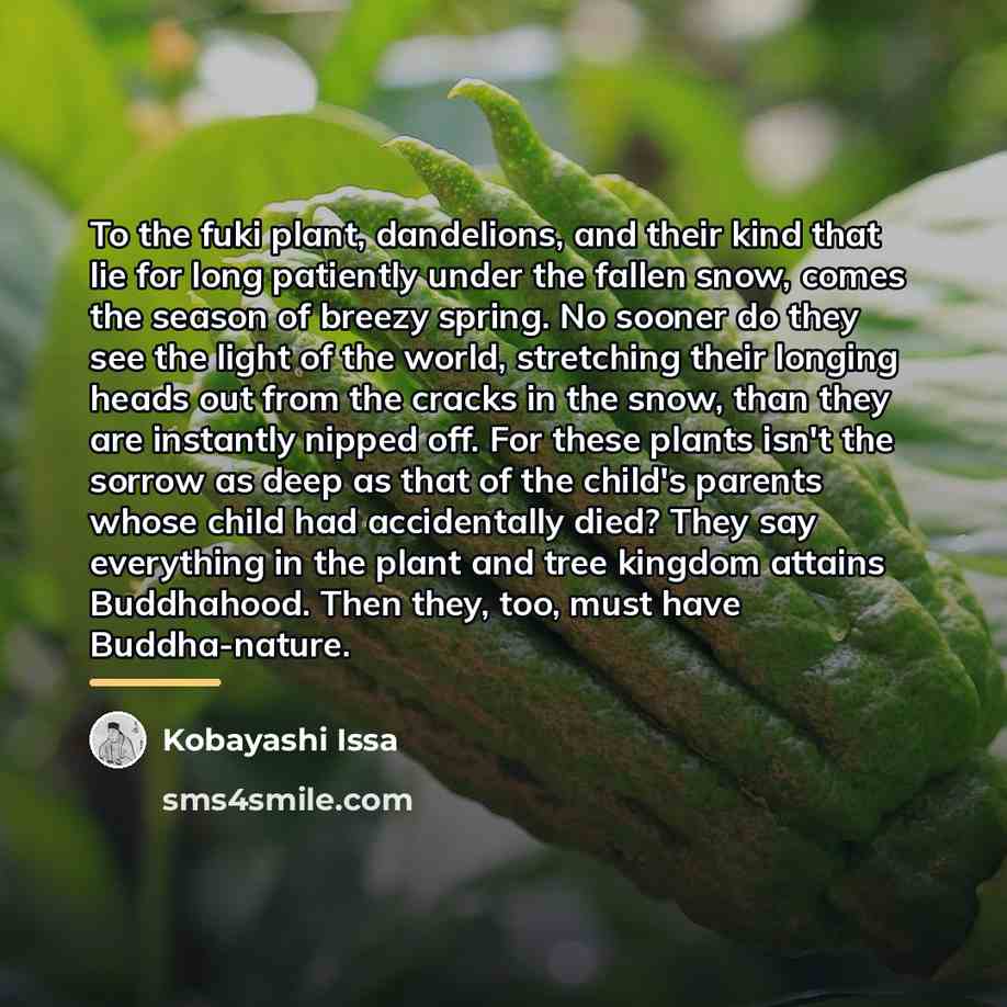 “To the fuki plant, dandelions, and their kind that lie…” quote by Kobayashi Issa