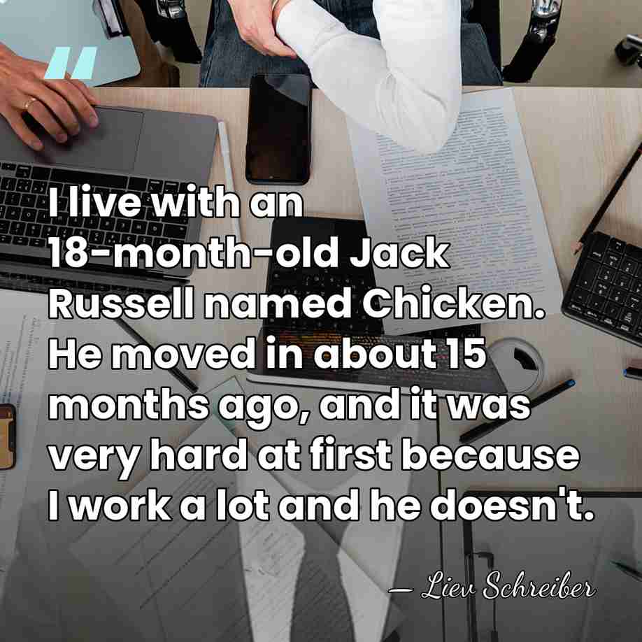 I live with an 18-month-old Jack Russell named Chicken. He moved in&hellip; - Liev Schreiber