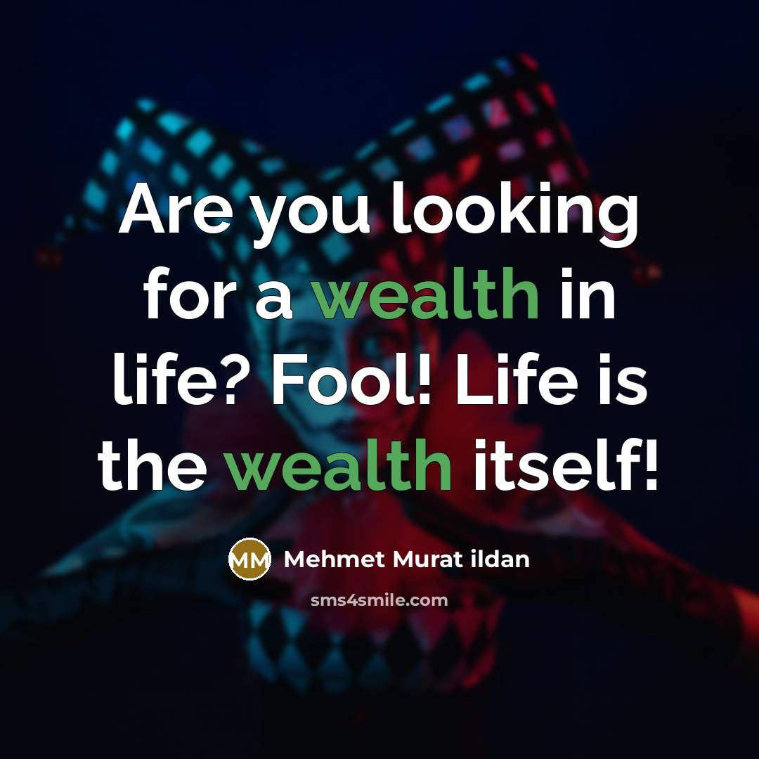 “Are you looking for a wealth in life? Fool! Life…” quote by Mehmet Murat Ildan