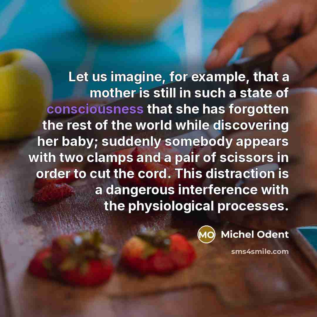 “Let us imagine, for example, that a mother is still…” quote by Michel Odent