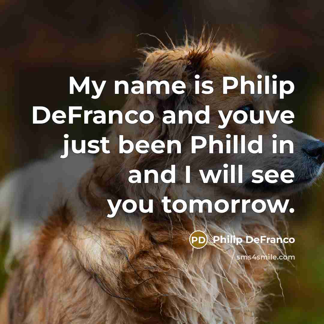 “My name is Philip DeFranco and youve just been Philld…” quote by Philip DeFranco