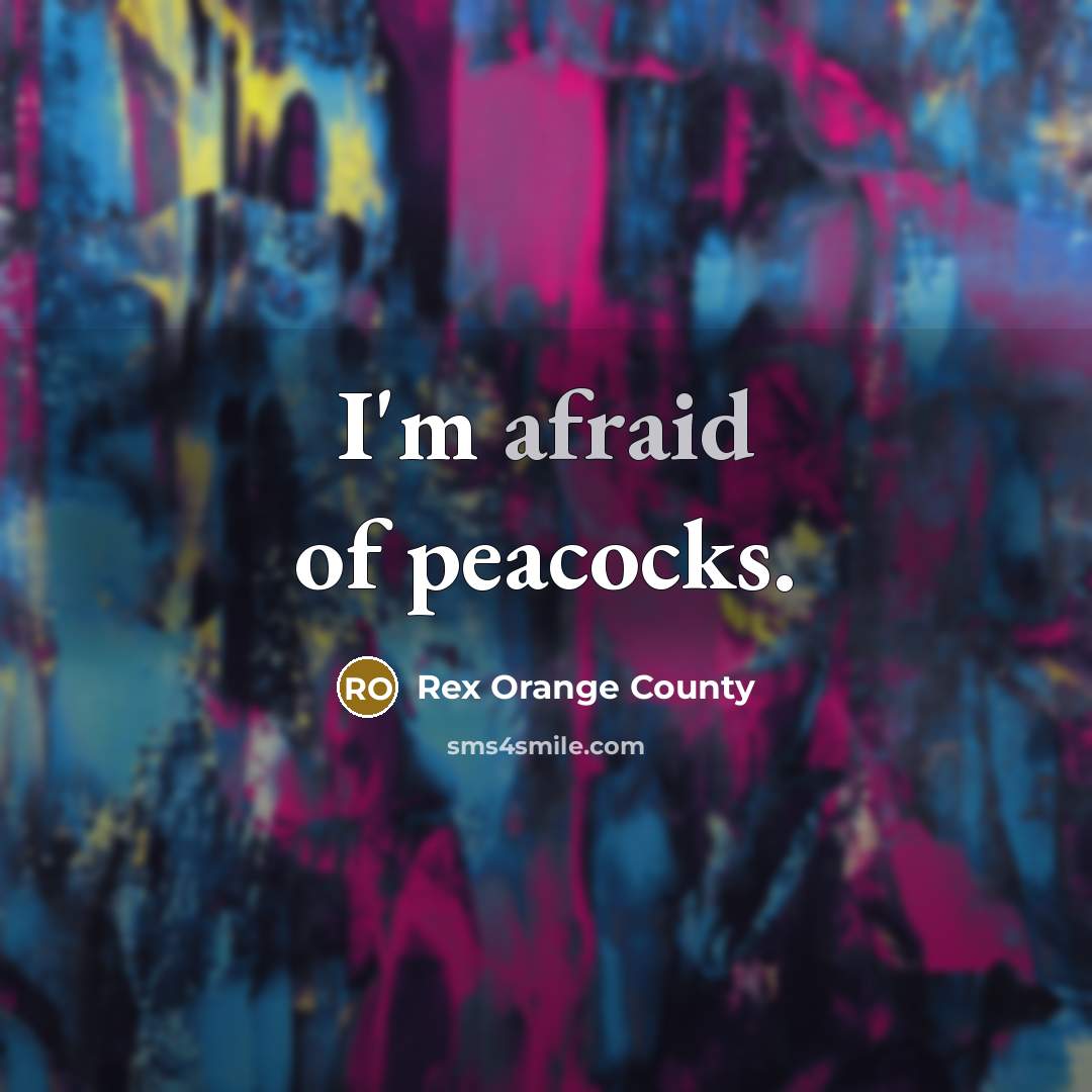“I'm afraid of peacocks.…” quote by Rex Orange County