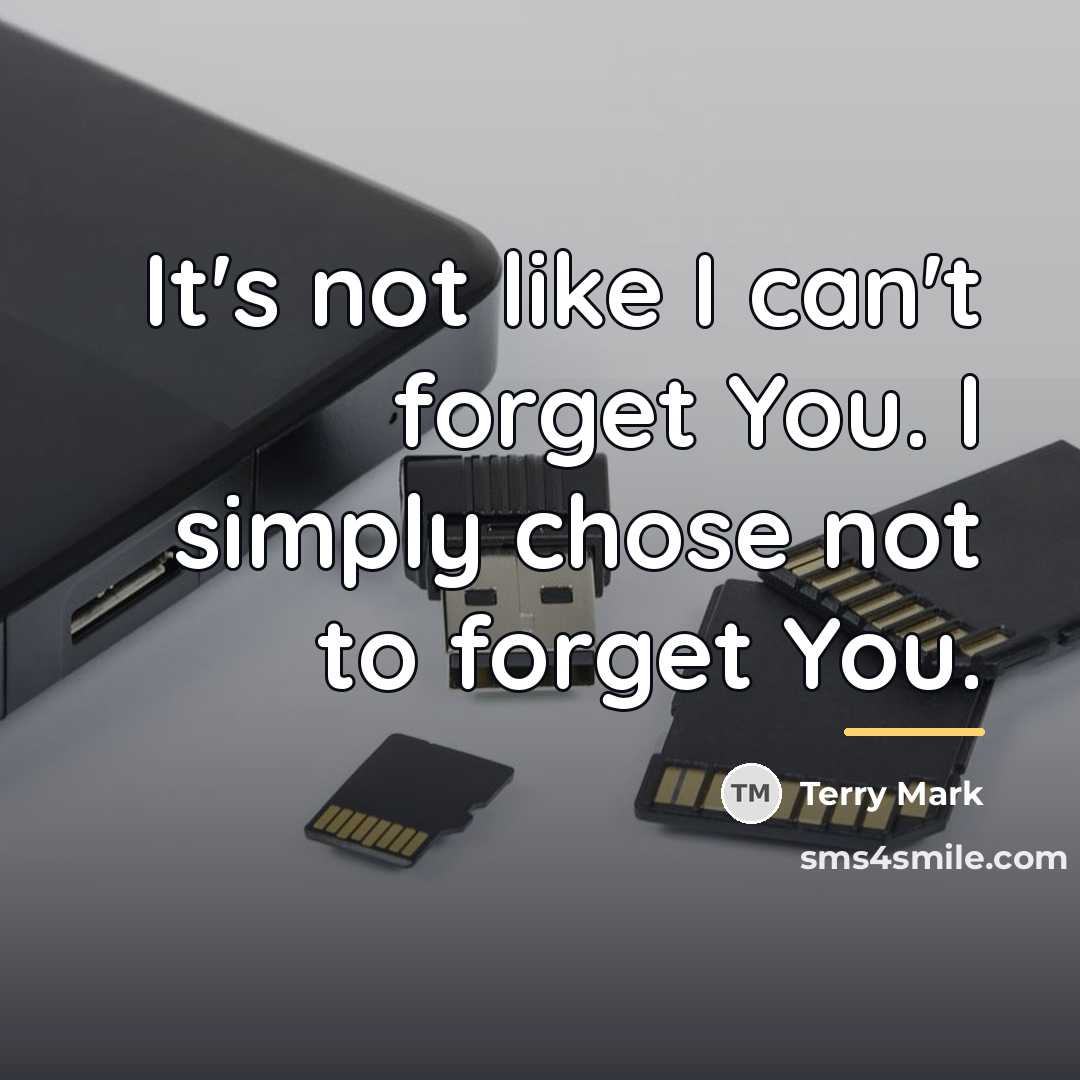 “It's not like I can't forget You. I simply chose…” quote by Terry Mark