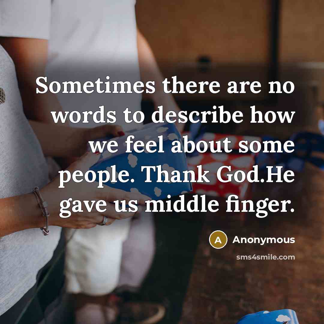 “Sometimes there are no words to describe how we feel…” quote by Anonymous