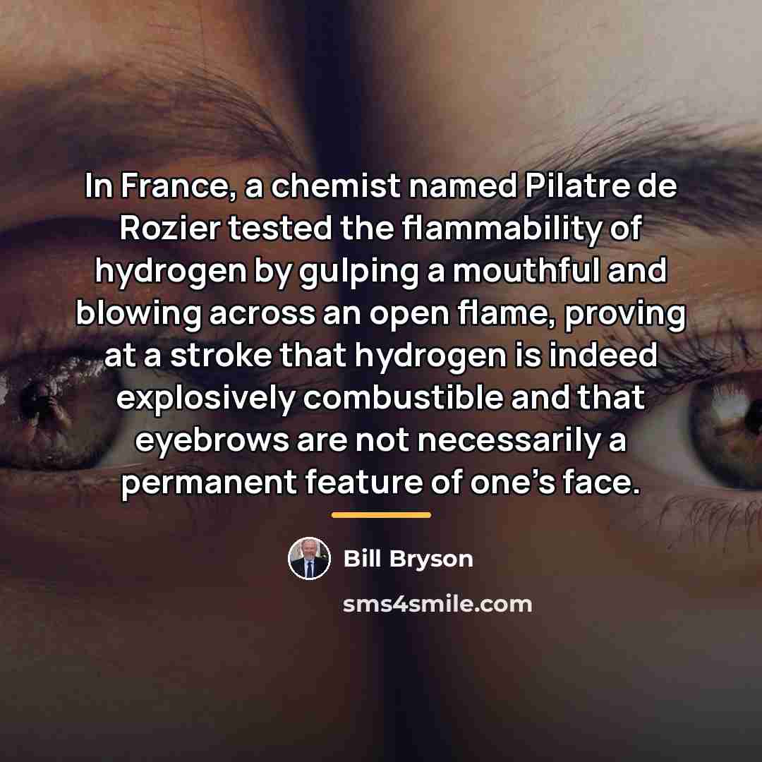 “In France, a chemist named Pilatre de Rozier tested the…” quote by Bill Bryson