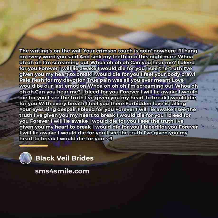 “The writing's on the wall Your crimson touch is goin'…” quote by Black Veil Brides