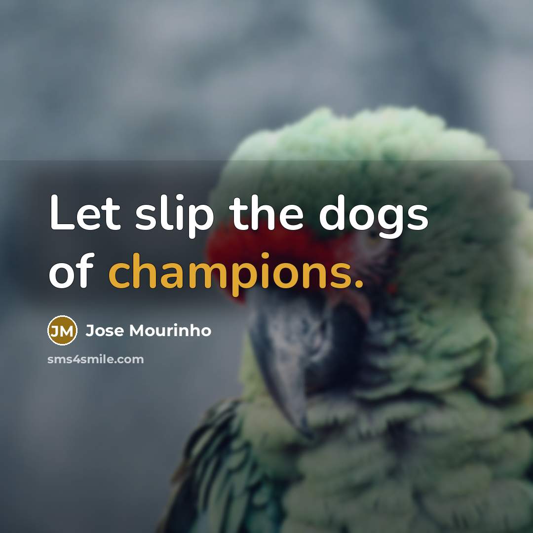 “Let slip the dogs of champions.” quote by Jose Mourinho