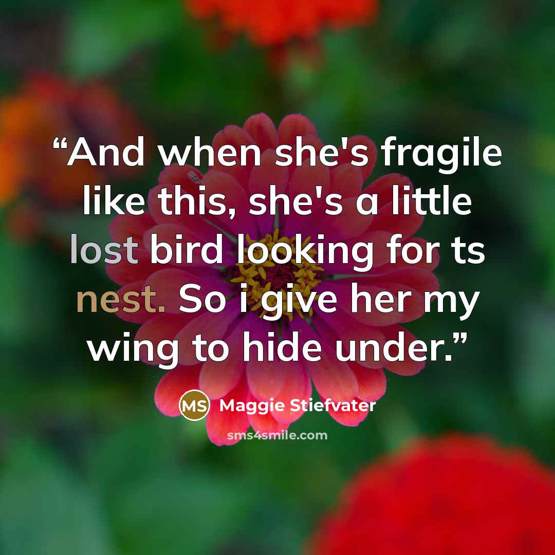 “And when she's fragile like this, she's a little lost bird looking for ts nest. So i give her my wing to hide under.” quote by Maggie Stiefvater