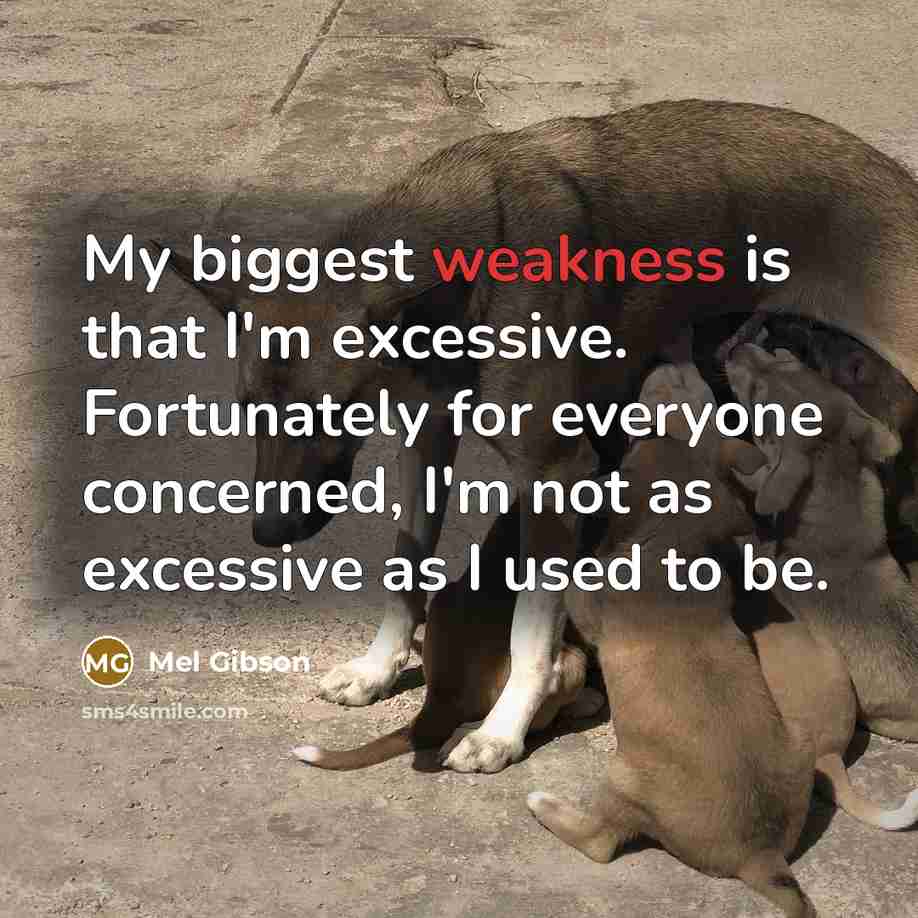 “My biggest weakness is that I'm excessive. Fortunately for everyone…” quote by Mel Gibson
