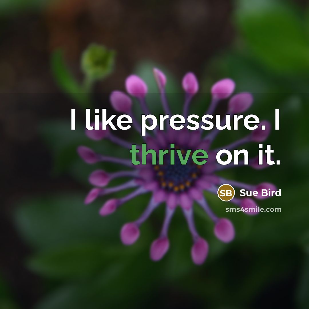 “I like pressure. I thrive on it.” quote by Sue Bird