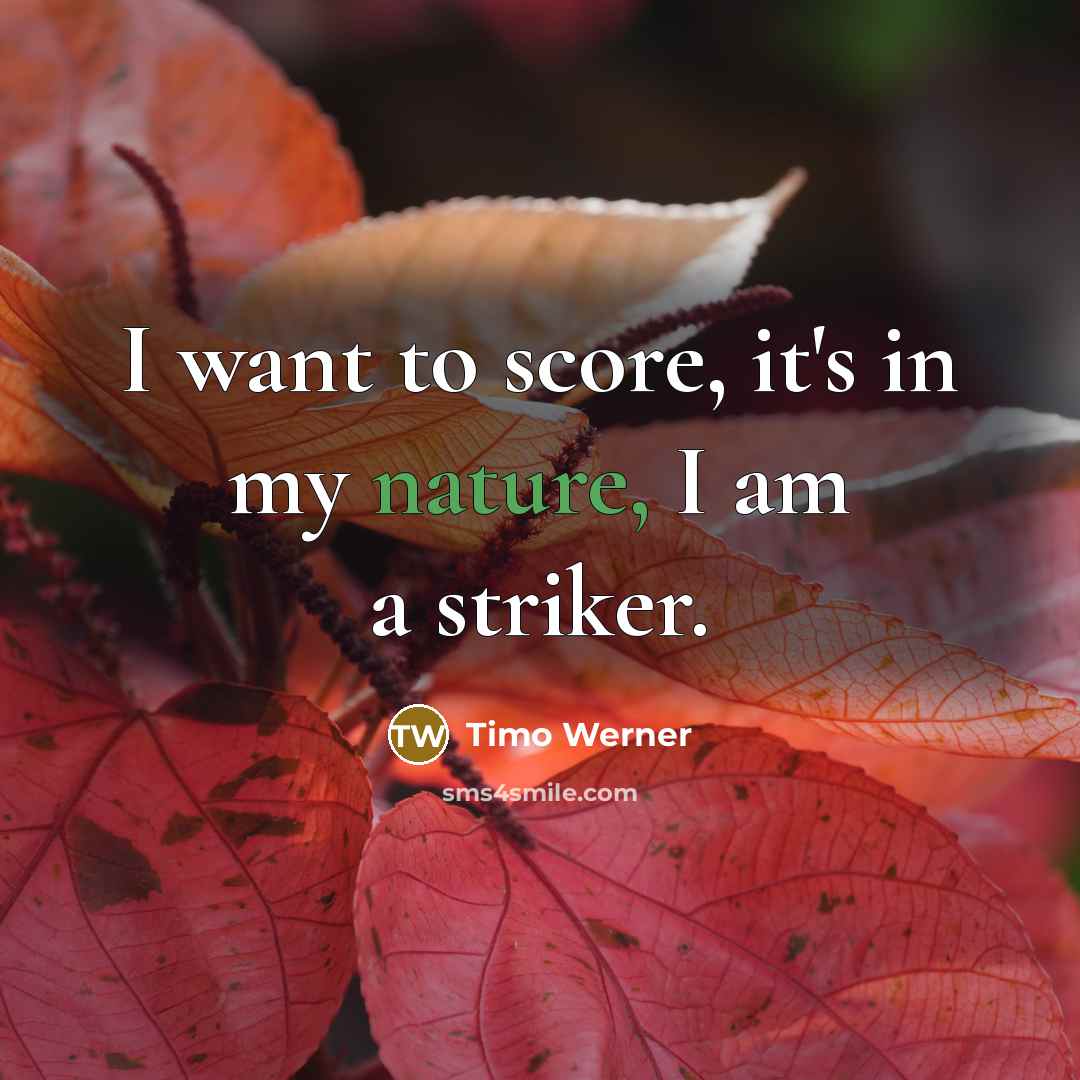 “I want to score, it's in my nature, I am…” quote by Timo Werner