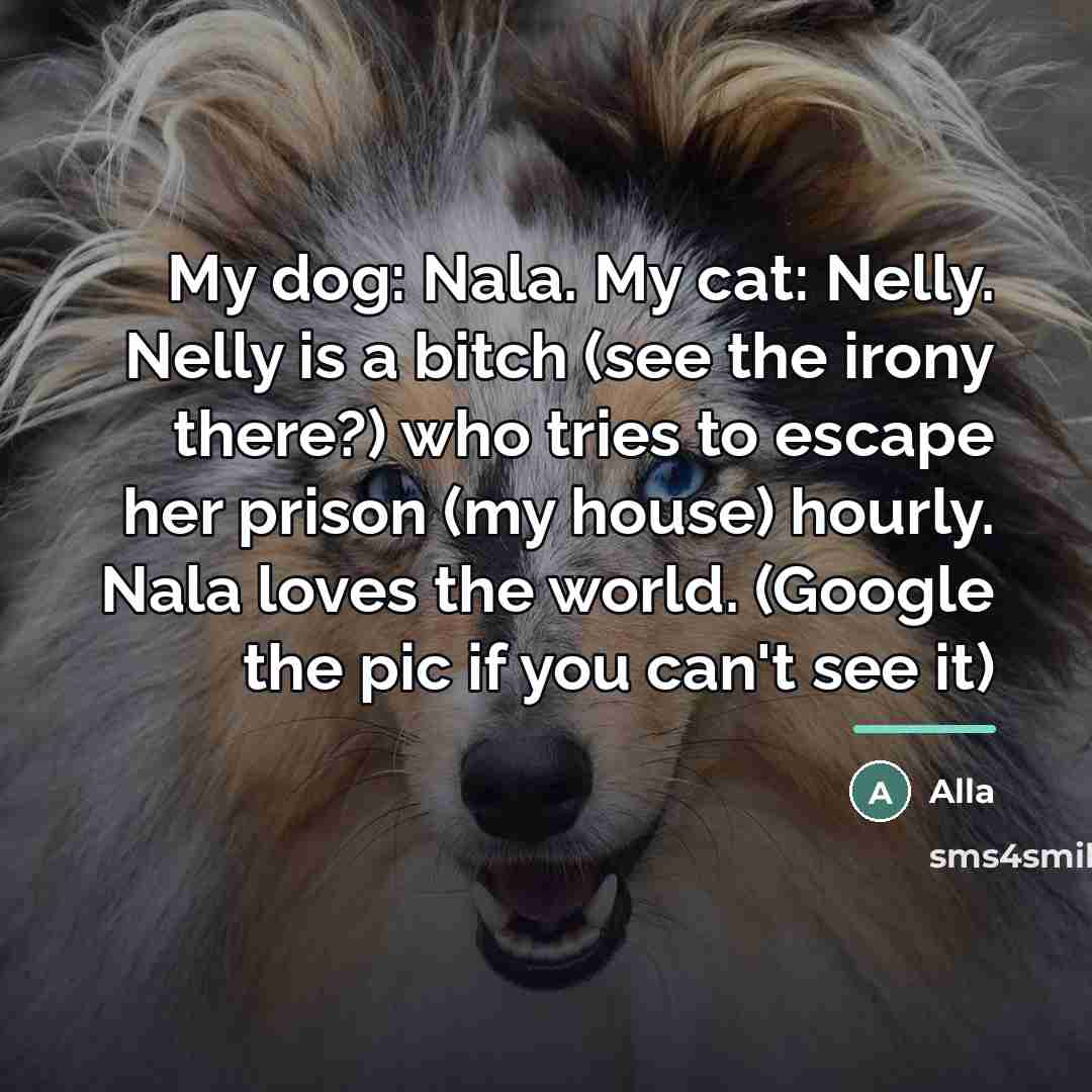 “My dog: Nala. My cat: Nelly. Nelly is a bitch…” quote by Alla