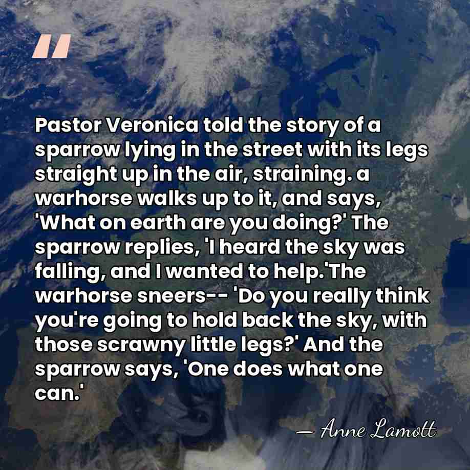 Pastor Veronica told the story of a sparrow lying in the street&hellip; - Anne Lamott