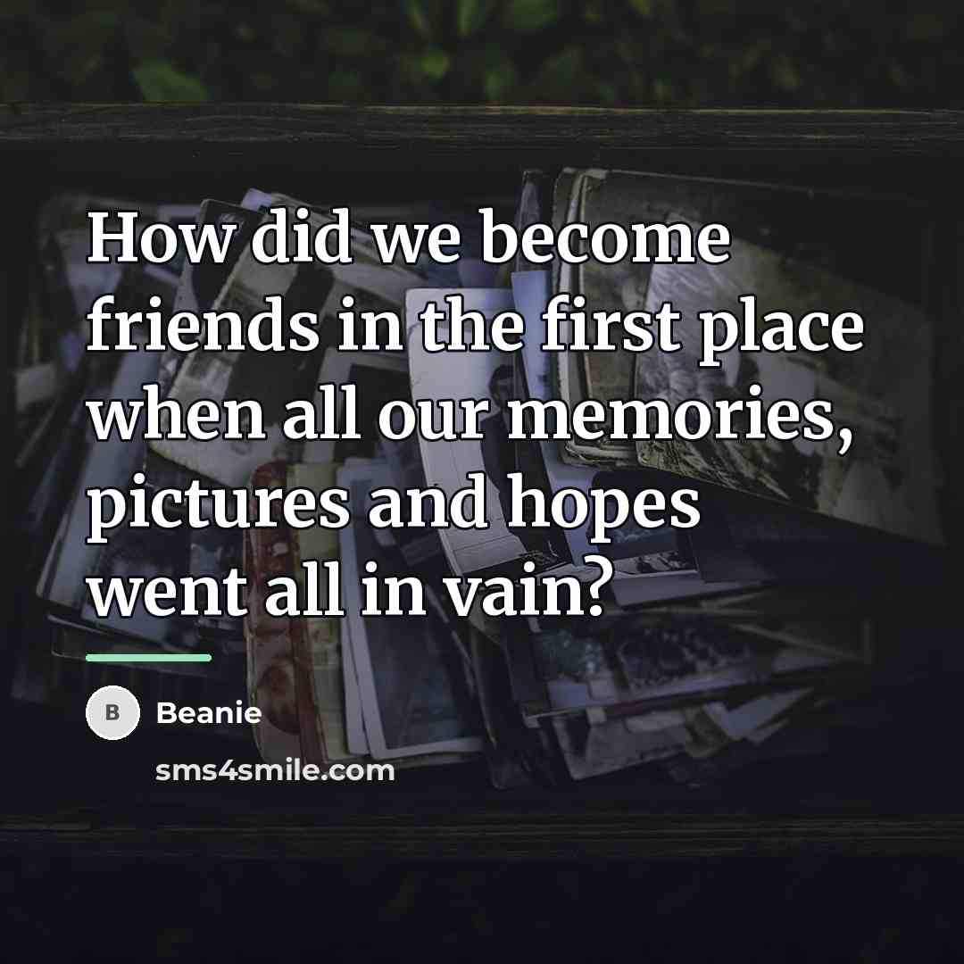 “How did we become friends in the first place when…” quote by Beanie