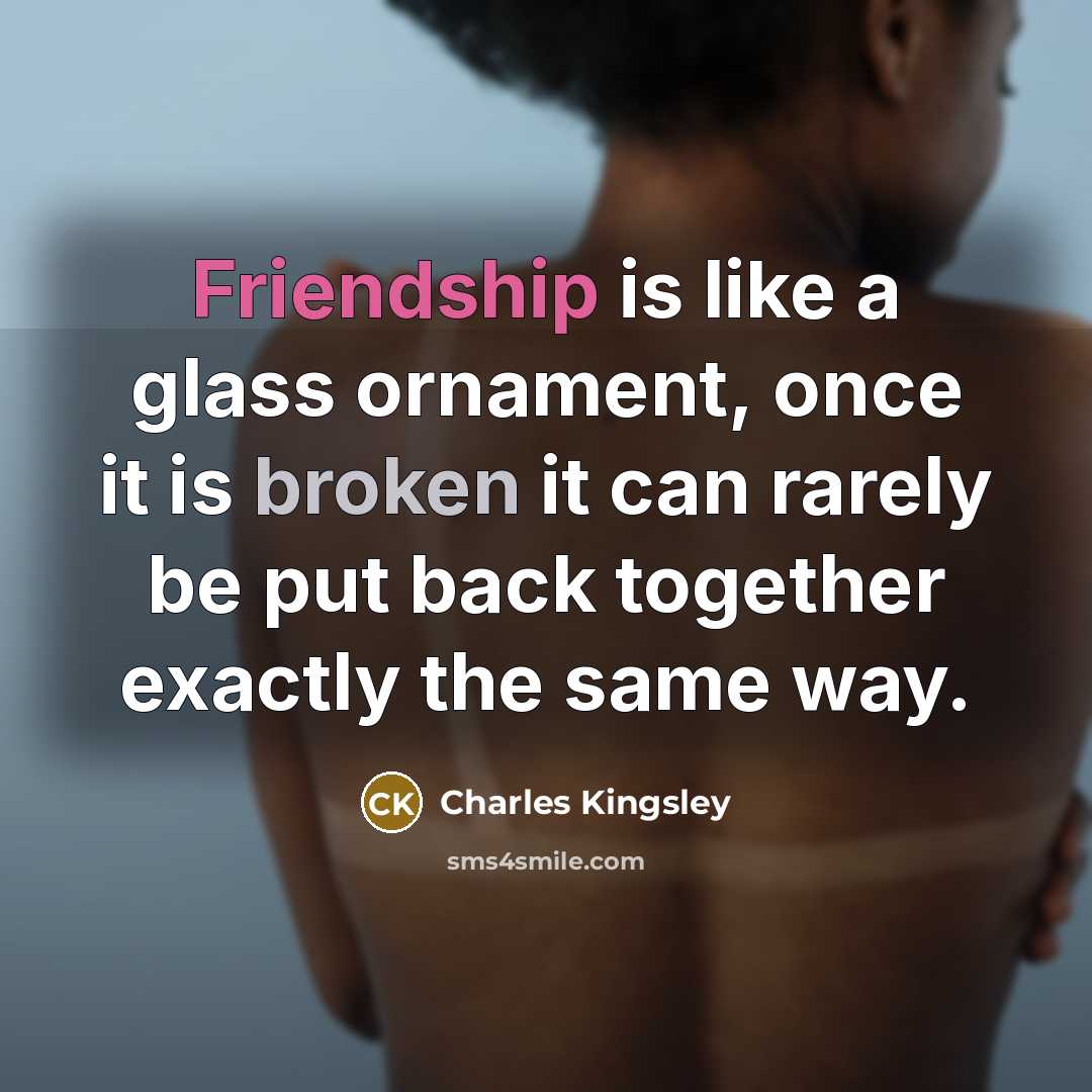 “Friendship is like a glass ornament, once it is broken…” quote by Charles Kingsley