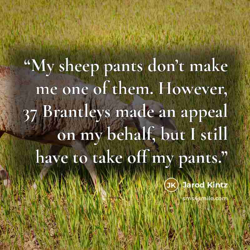 “My sheep pants don’t make me one of them. However, 37 Brantleys made an appeal on my behalf, but I still have to take off my pants.” quote by Jarod Kintz