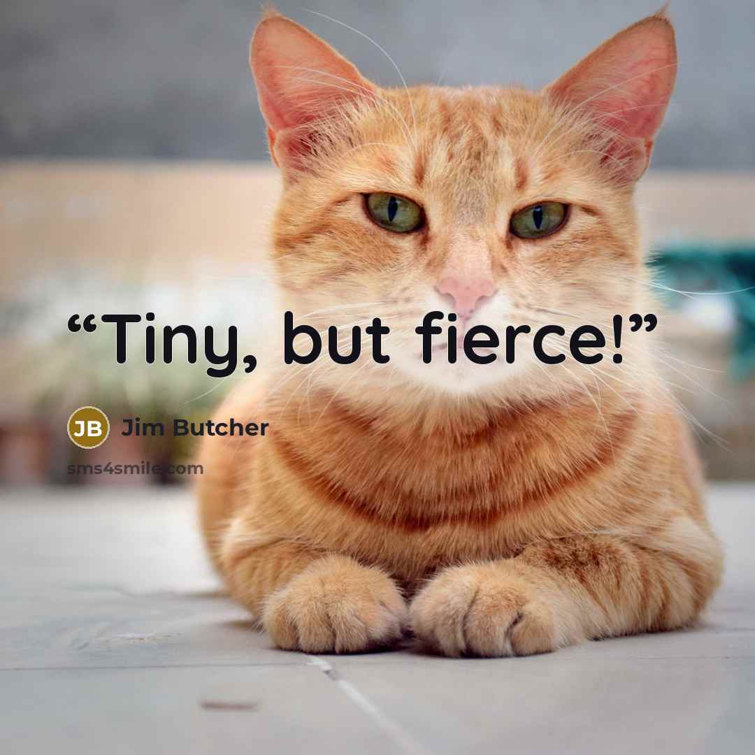 “Tiny, but fierce!” quote by Jim Butcher