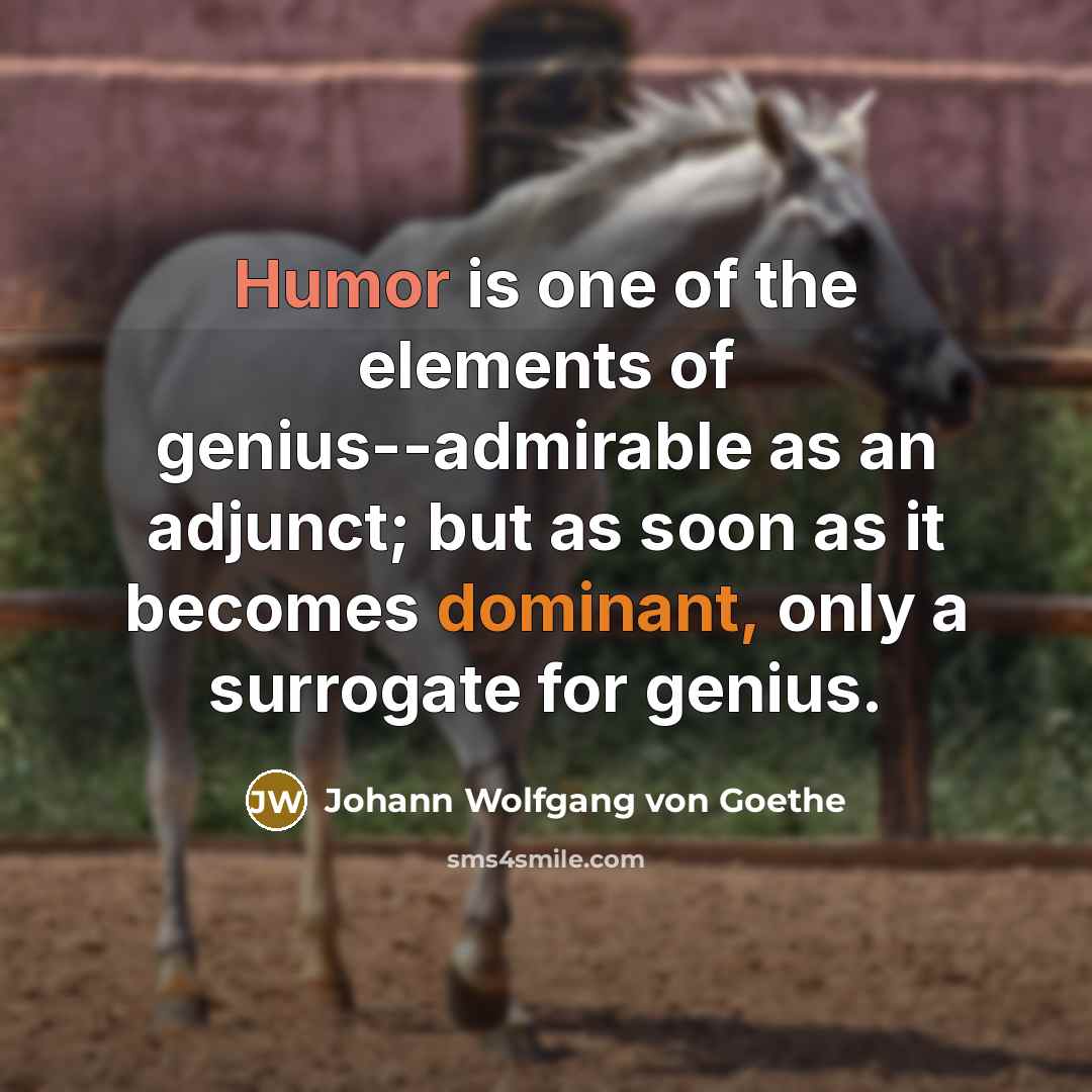 “Humor is one of the elements of genius--admirable as an…” quote by Johann Wolfgang von Goethe