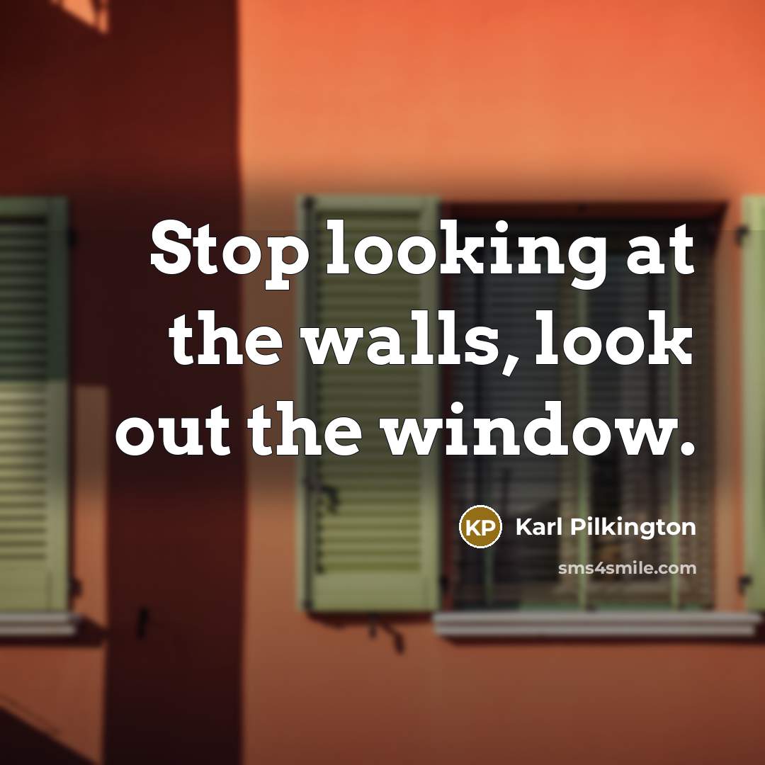 “Stop looking at the walls, look out the window.…” quote by Karl Pilkington