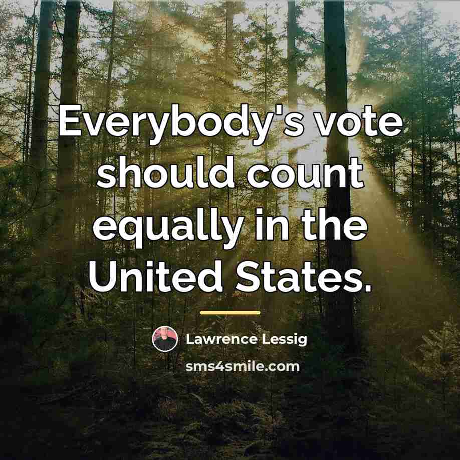 “Everybody's vote should count equally in the United States.…” quote by Lawrence Lessig