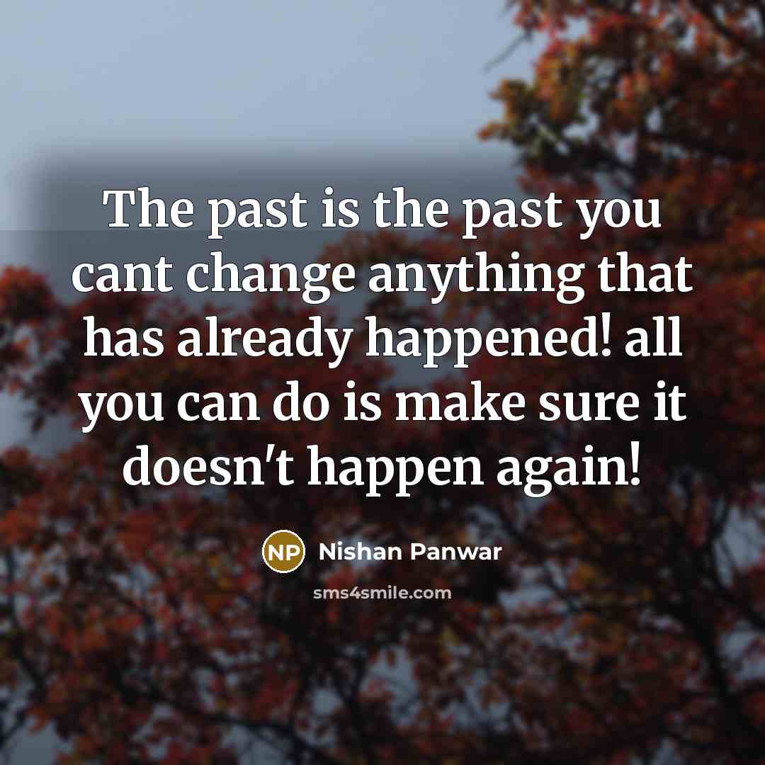 “The past is the past you cant change anything that…” quote by Nishan Panwar