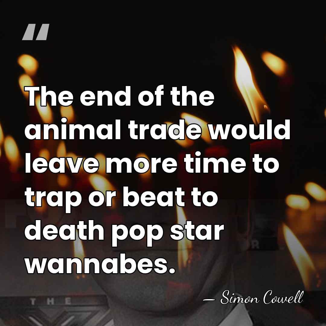 The end of the animal trade would leave more time to trap&hellip; - Simon Cowell