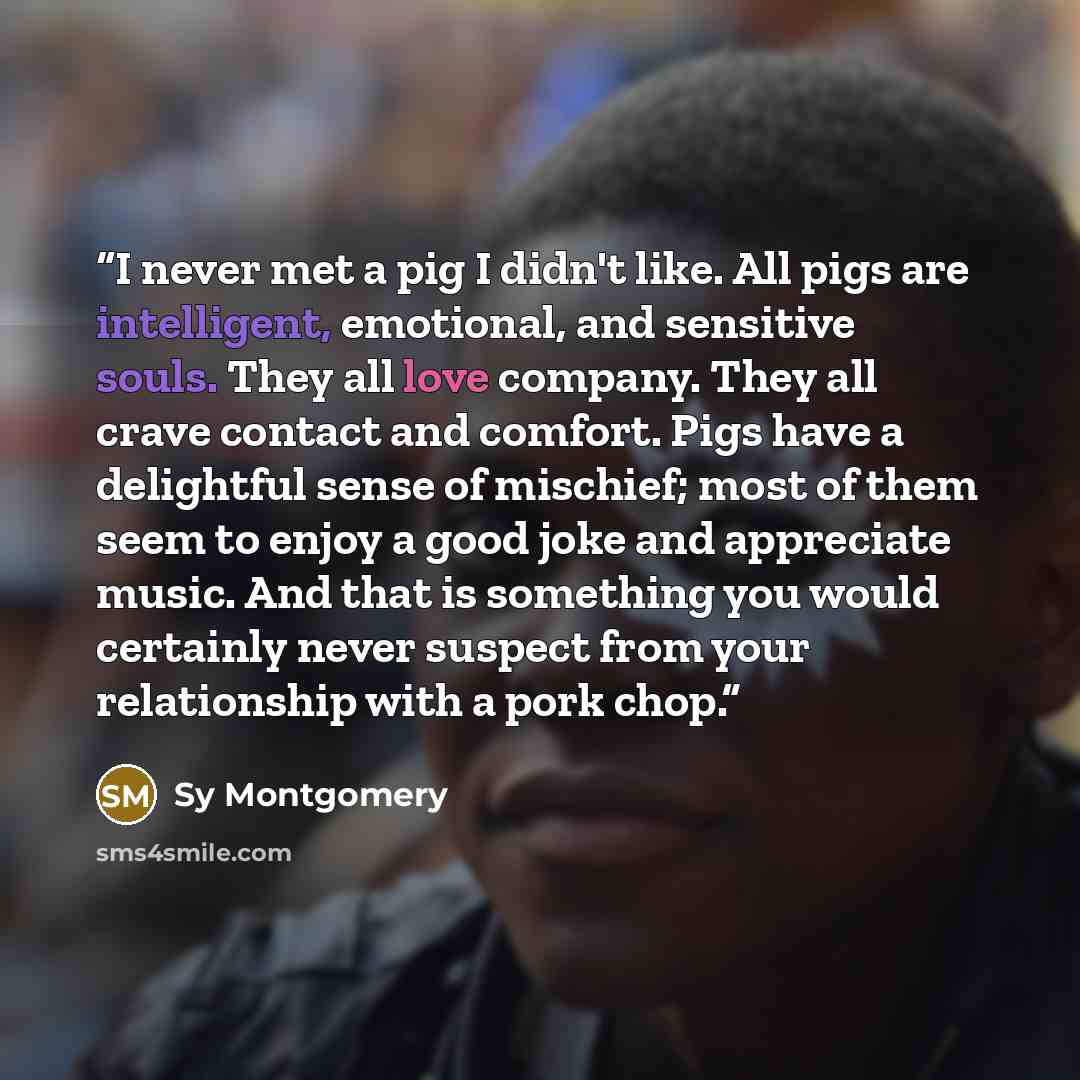 “I never met a pig I didn't like. All pigs are intelligent, emotional, and sensitive souls. They all love company. They all crave contact and comfort. Pigs have a delightful sense of mischief; most of them seem to enjoy a good joke and appreciate music. And that is something you would certainly…” quote by Sy Montgomery