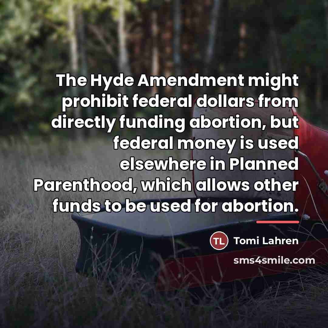 “The Hyde Amendment might prohibit federal dollars from directly funding…” quote by Tomi Lahren