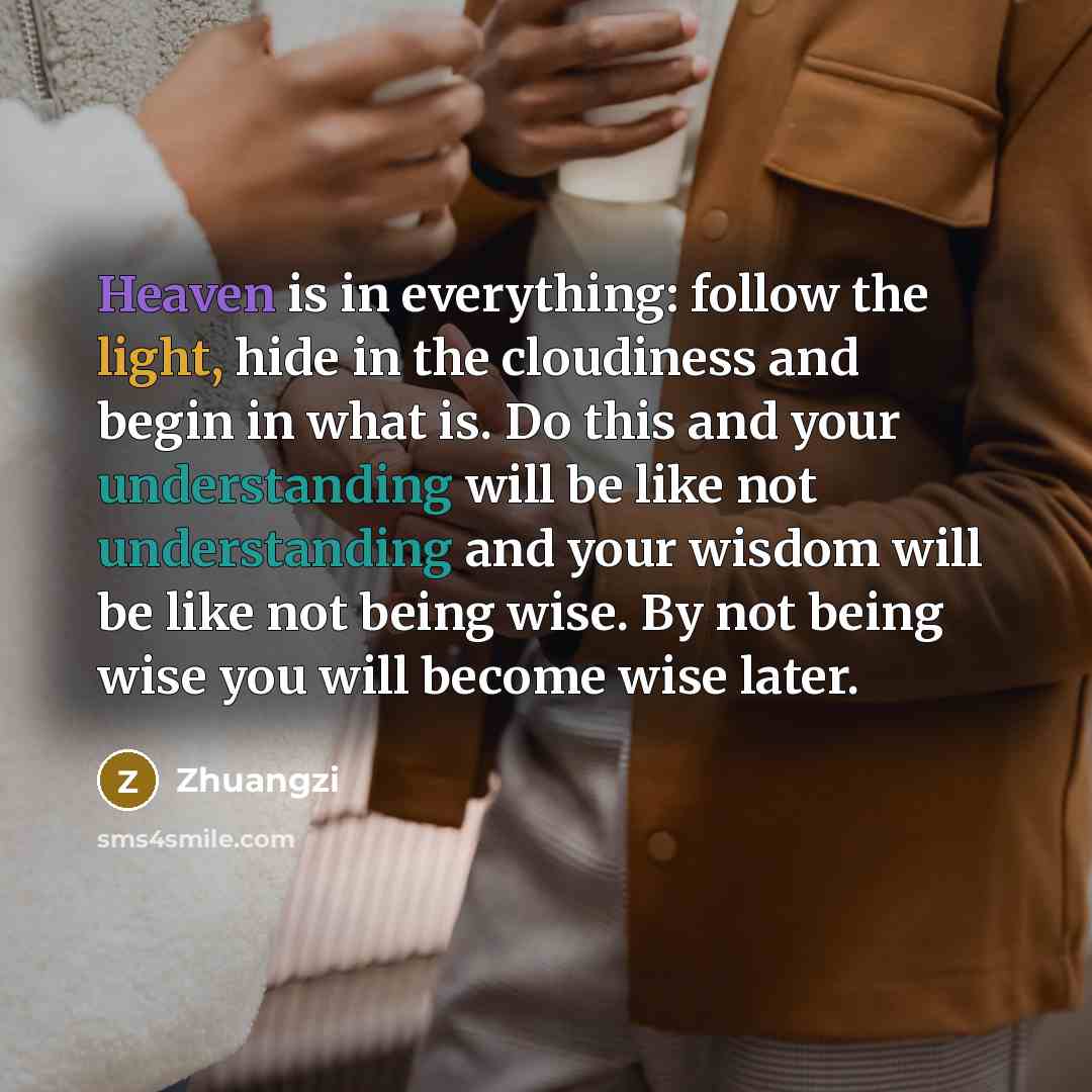 “Heaven is in everything: follow the light, hide in the…” quote by Zhuangzi