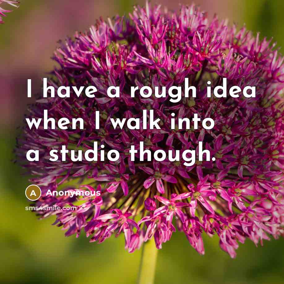 “I have a rough idea when I walk into a studio though.” quote by Anonymous