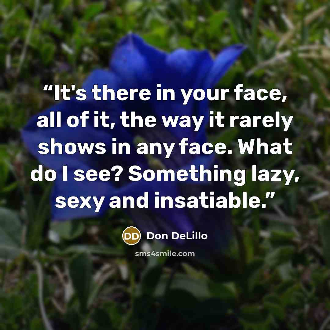 “It's there in your face, all of it, the way it rarely shows in any face. What do I see? Something lazy, sexy and insatiable.” quote by Don DeLillo