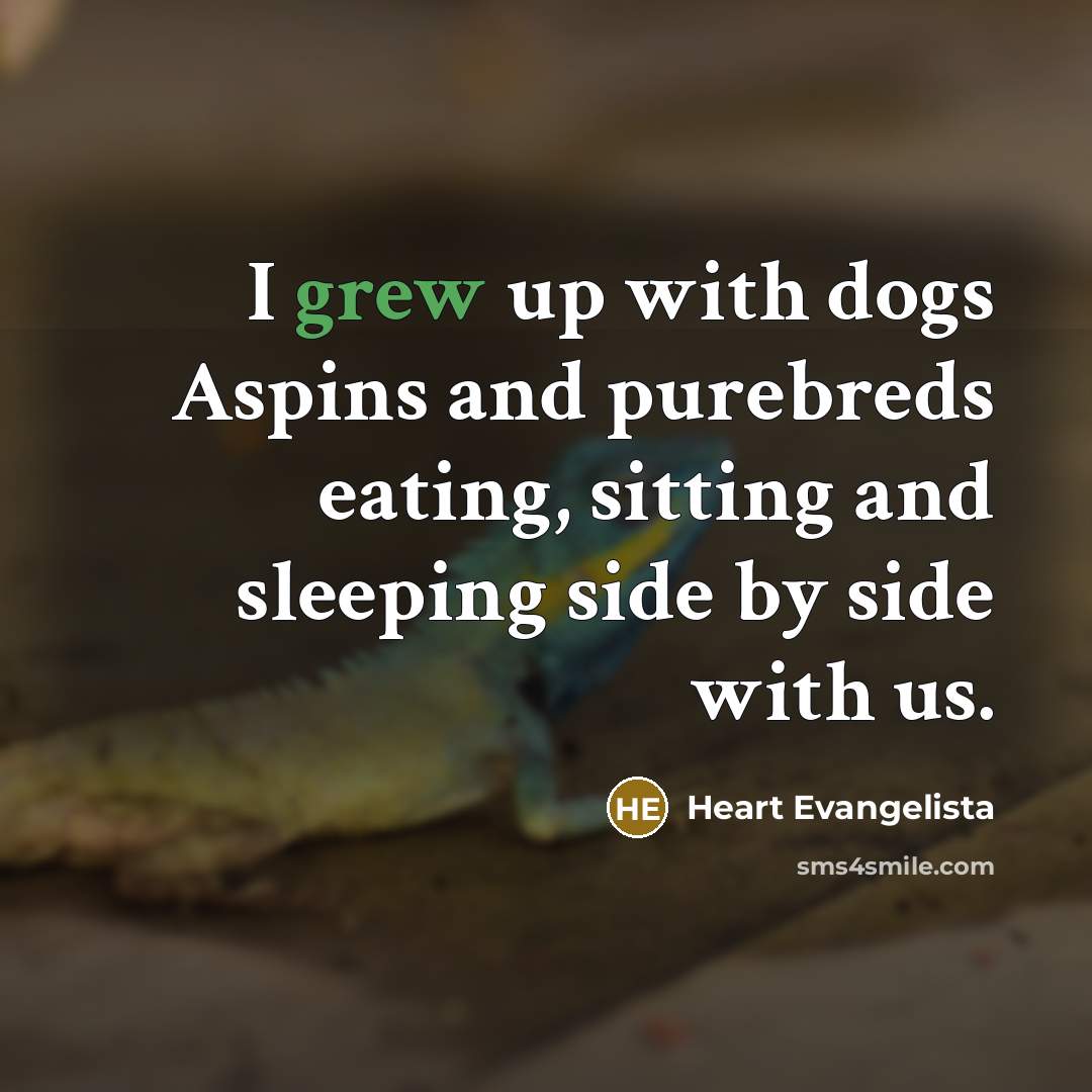 “I grew up with dogs Aspins and purebreds eating, sitting and sleeping side by side with us.” quote by Heart Evangelista