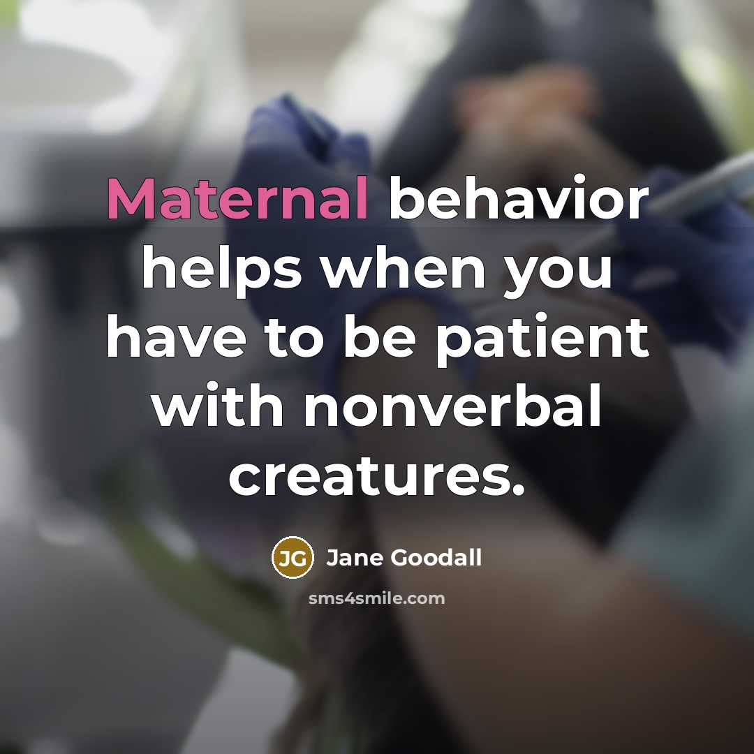 “Maternal behavior helps when you have to be patient with…” quote by Jane Goodall