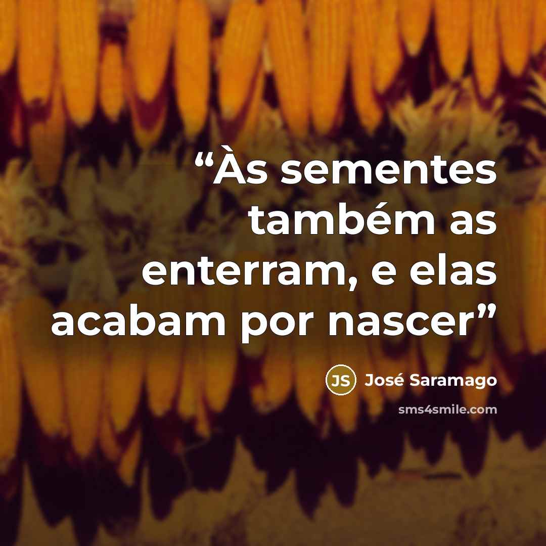 “Às sementes também as enterram, e elas acabam por nascer” quote by José Saramago