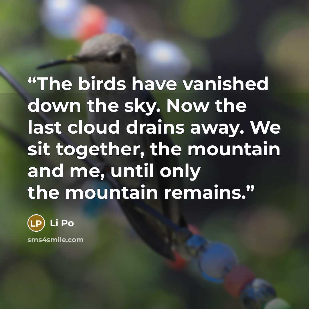 “The birds have vanished down the sky. Now the last cloud drains away. We sit together, the mountain and me, until only the mountain remains.” quote by Li Po