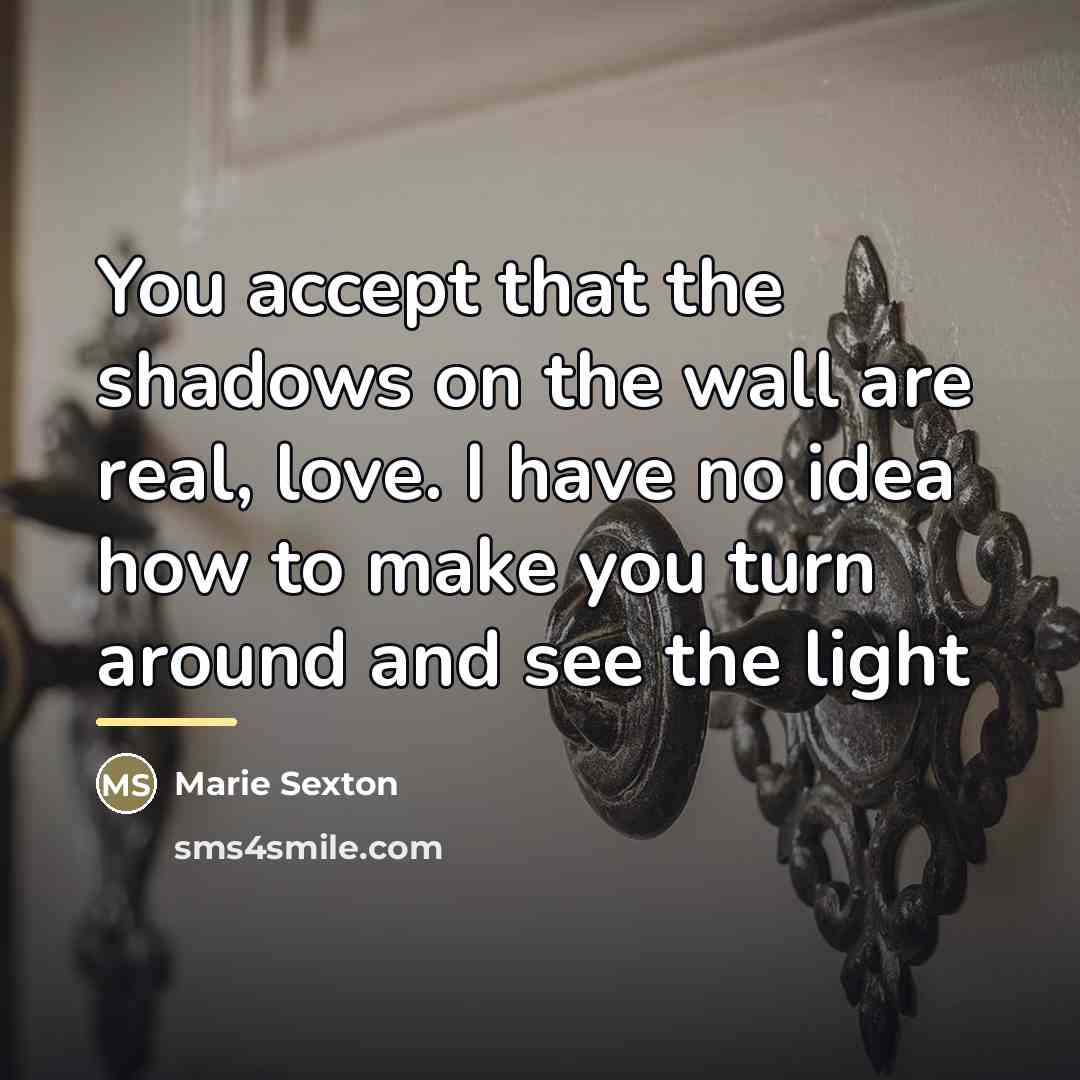 “You accept that the shadows on the wall are real,…” quote by Marie Sexton