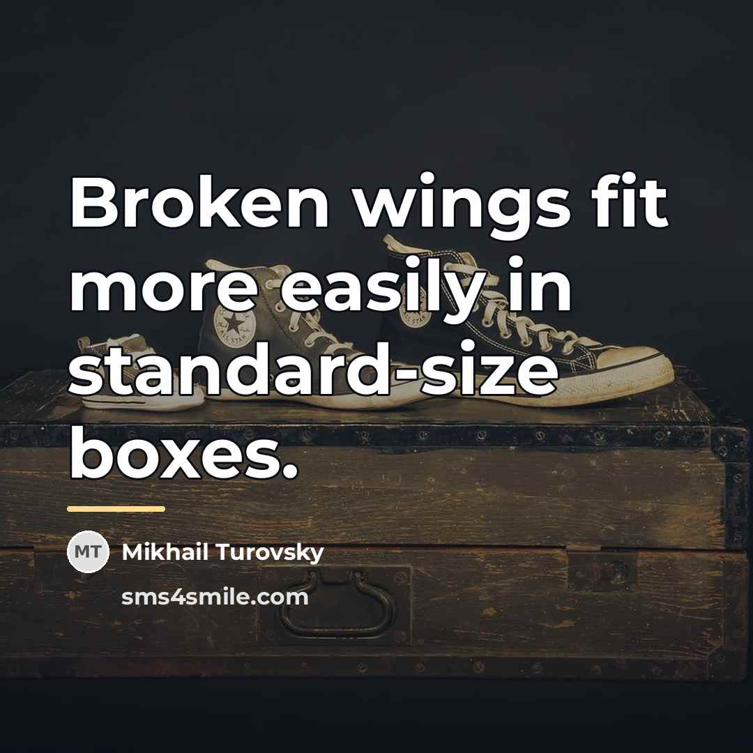 “Broken wings fit more easily in standard-size boxes.…” quote by Mikhail Turovsky