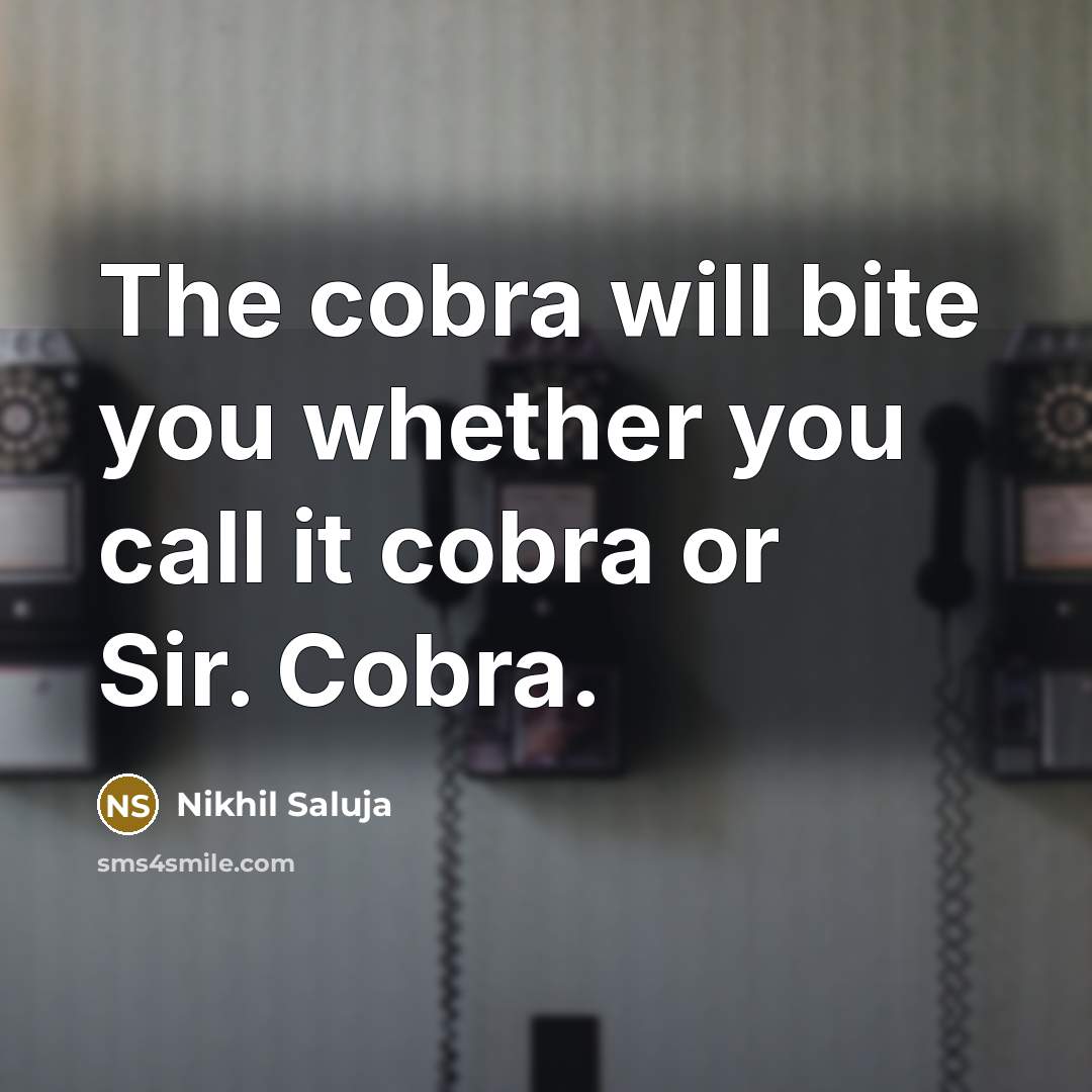 “The cobra will bite you whether you call it cobra…” quote by Nikhil Saluja