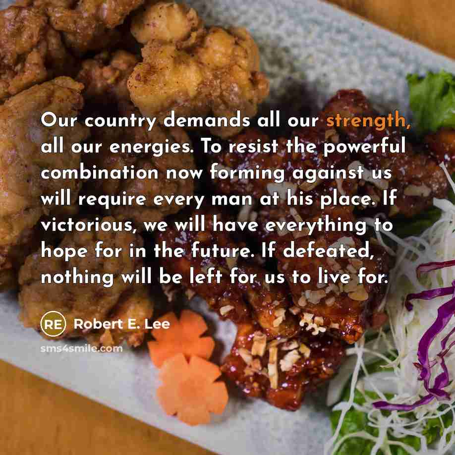 “Our country demands all our strength, all our energies. To…” quote by Robert E. Lee
