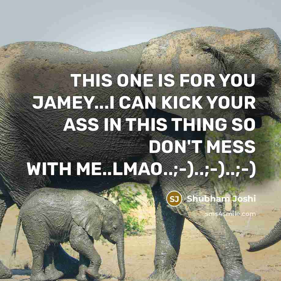 “THIS ONE IS FOR YOU JAMEY...I CAN KICK YOUR ASS IN THIS THING SO DON'T MESS WITH ME..LMAO..;-)..;-)..;-)” quote by Shubham Joshi