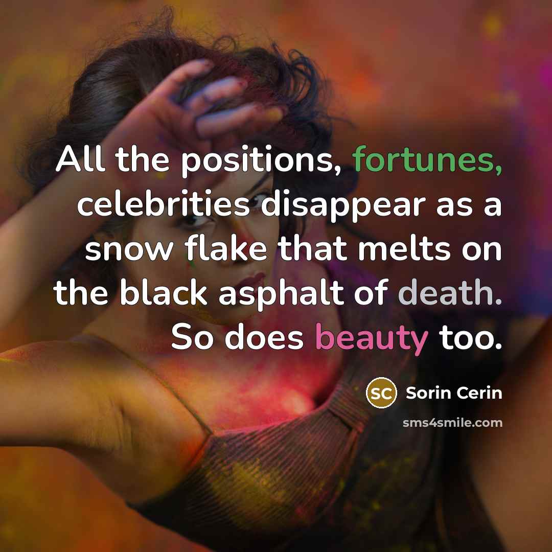 “All the positions, fortunes, celebrities disappear as a snow flake…” quote by Sorin Cerin