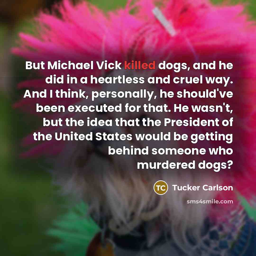 “But Michael Vick killed dogs, and he did in a…” quote by Tucker Carlson