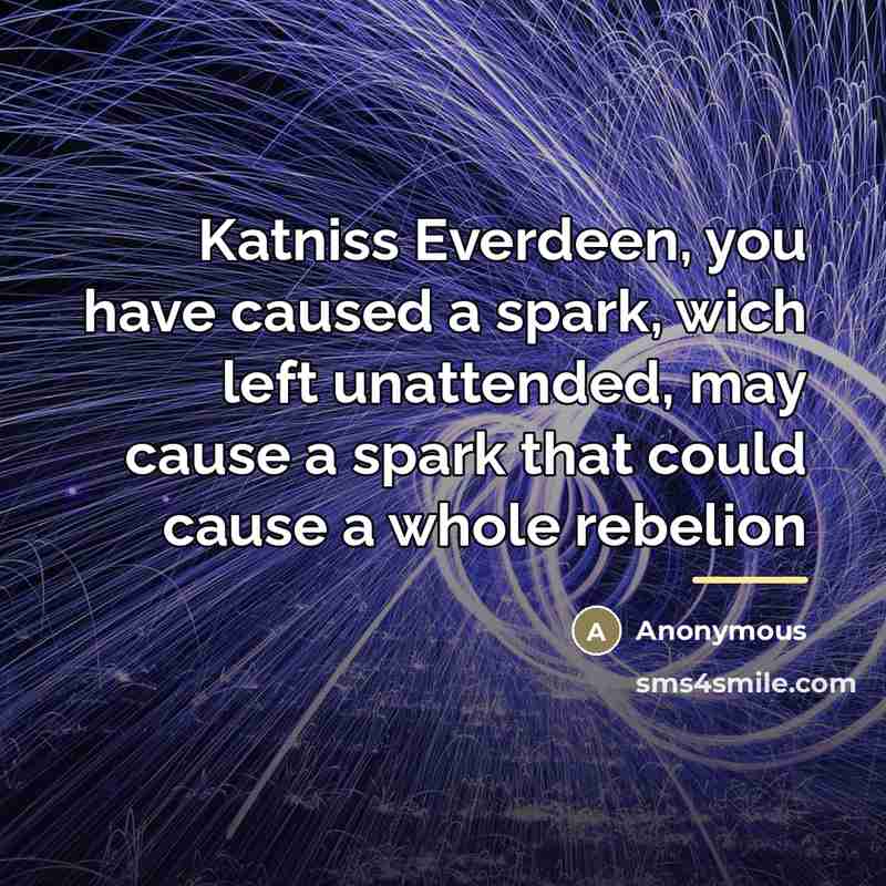 “Katniss Everdeen, you have caused a spark, wich left unattended,…” quote by Anonymous