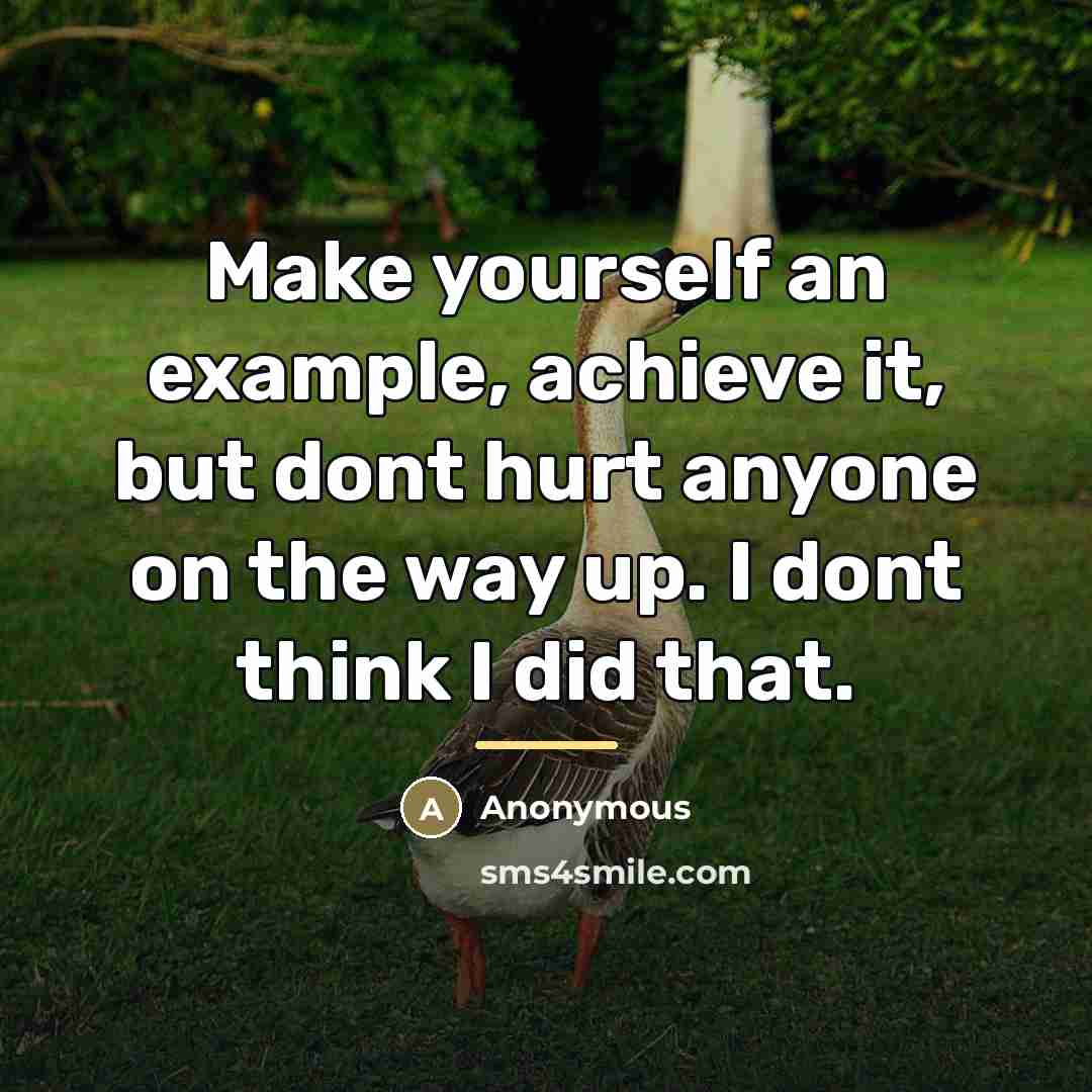 “Make yourself an example, achieve it, but dont hurt anyone…” quote by Anonymous