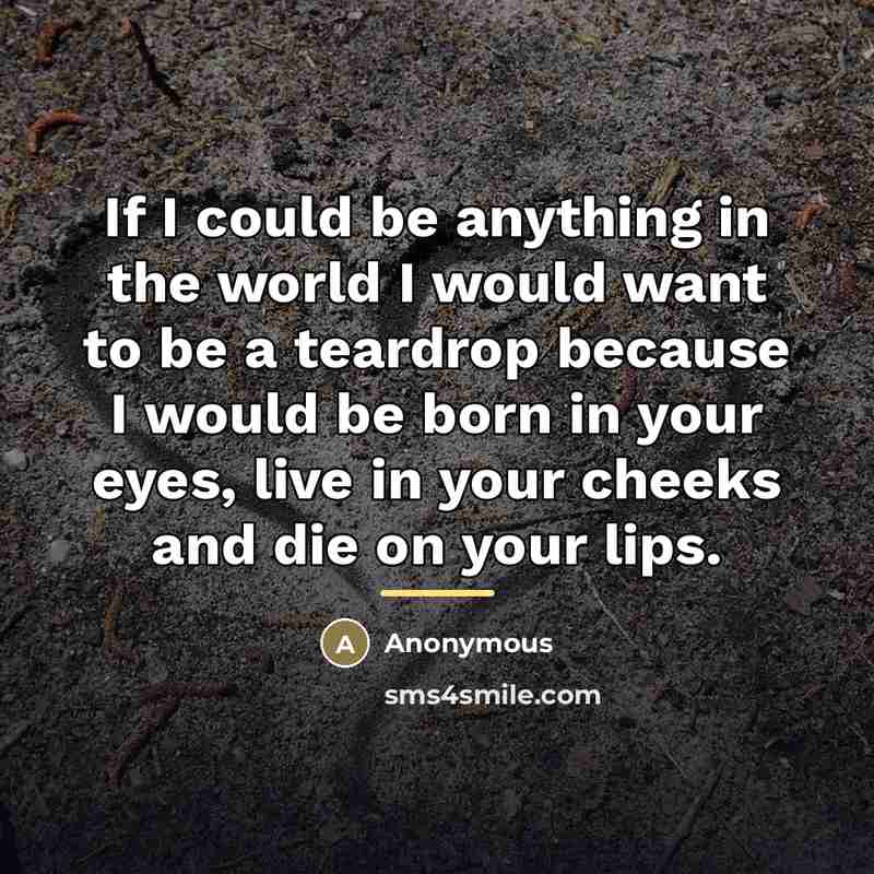 “If I could be anything in the world I would…” quote by Anonymous