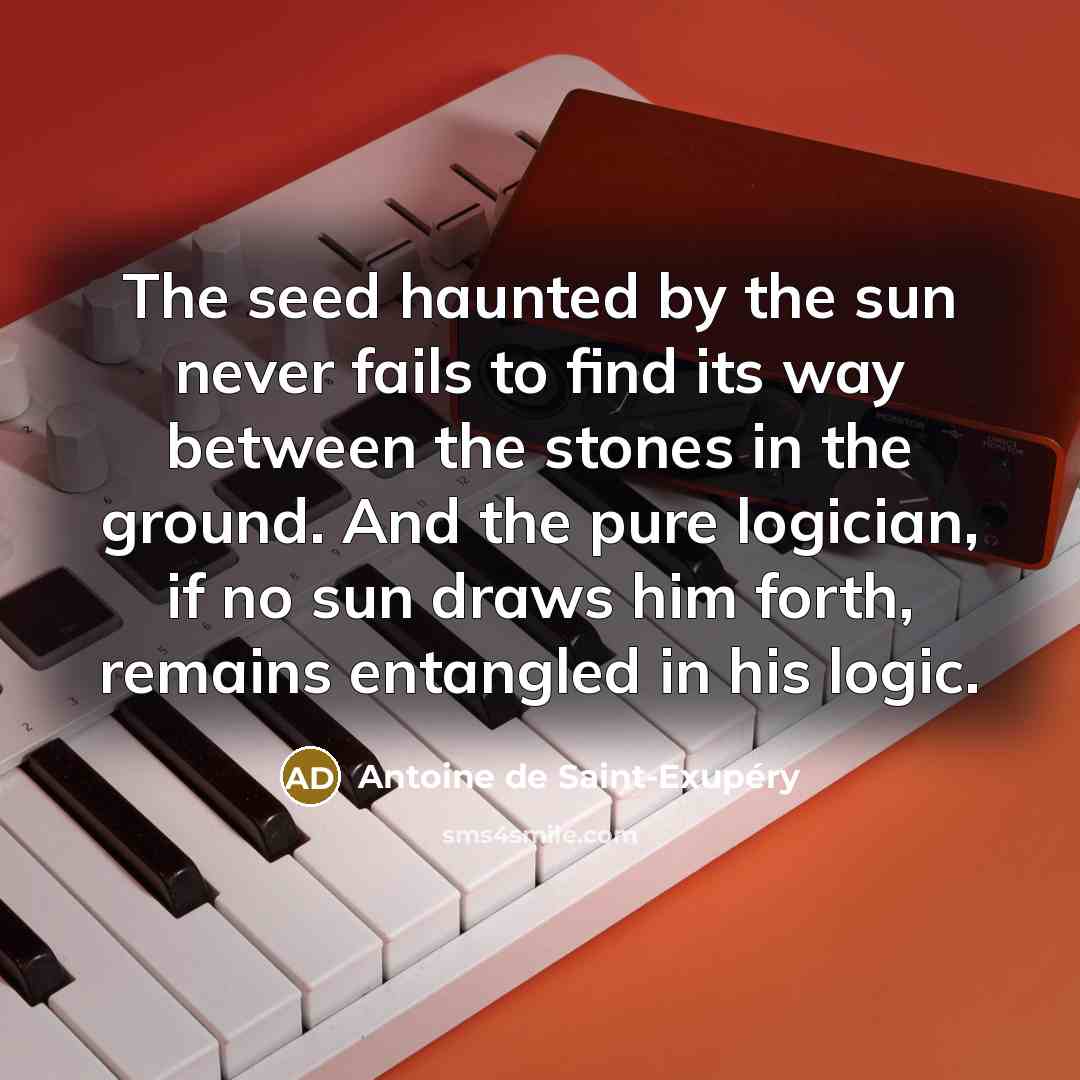 “The seed haunted by the sun never fails to find…” quote by Antoine de Saint-Exupery