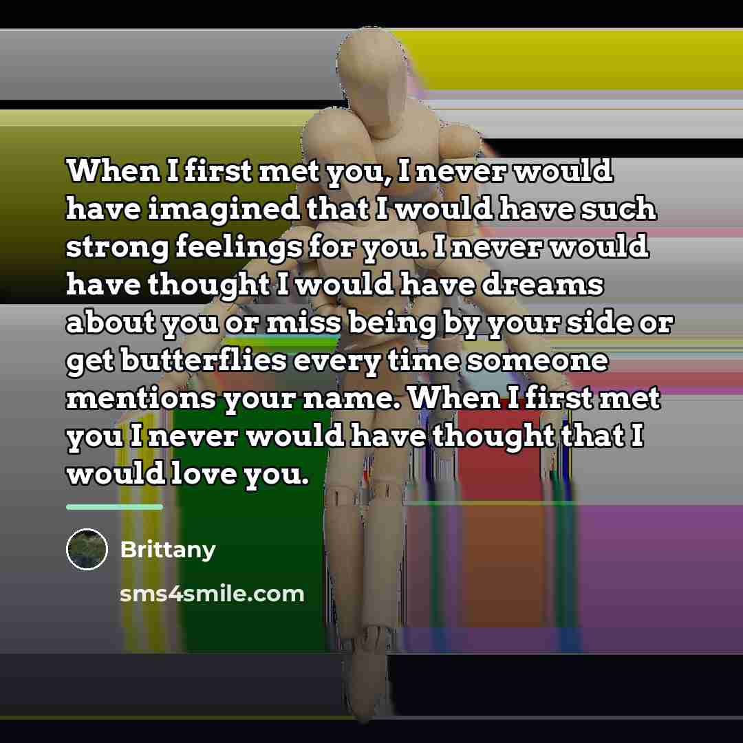 “When I first met you, I never would have imagined…” quote by Brittany